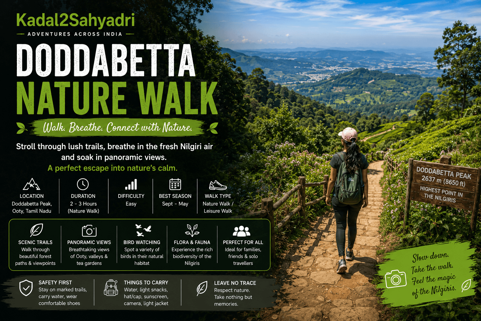 Doddabetta Nature Walk